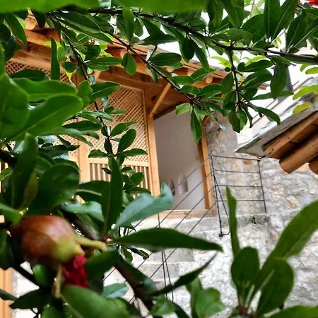 Kuca Za Odmor Orijent